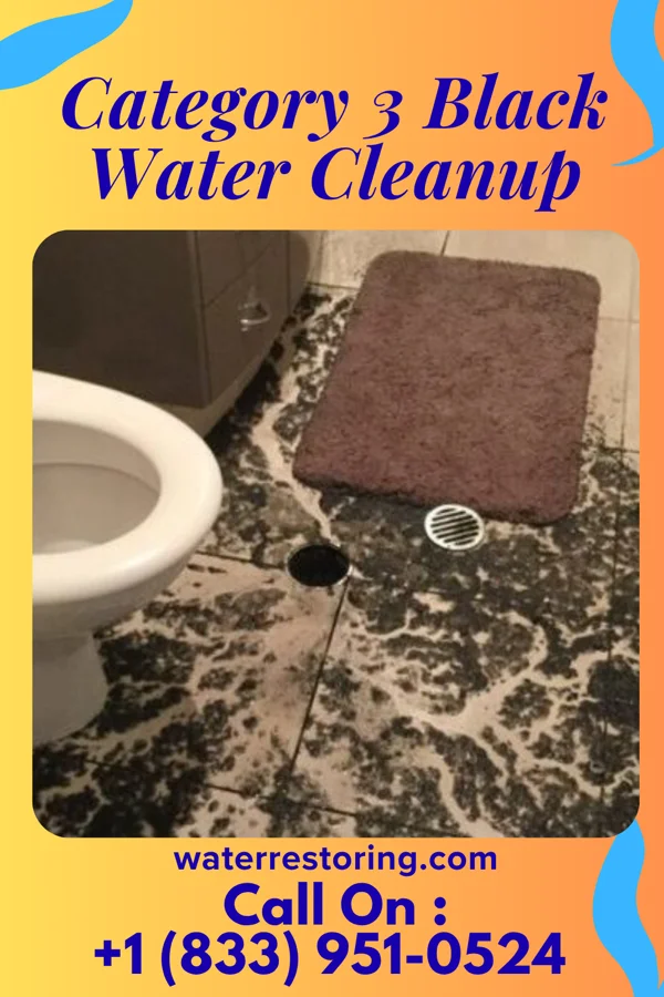 Category 3 Black Water Cleanup in Northfield, MN