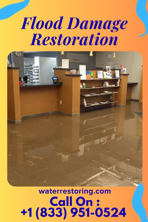 Flood Damage Restoration in Northfield, MN